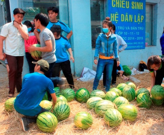 [-]Dân[-]Sài[-]Gòn[-]nỗ[-]lực[-]“giải[-]cứu”[-]hơn[-]100[-]tấn[-]dưa[-]hấu